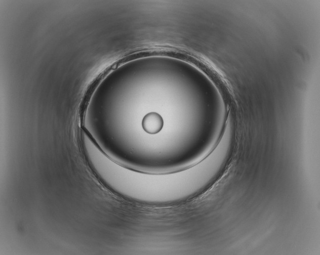 X0000111911269200908031130