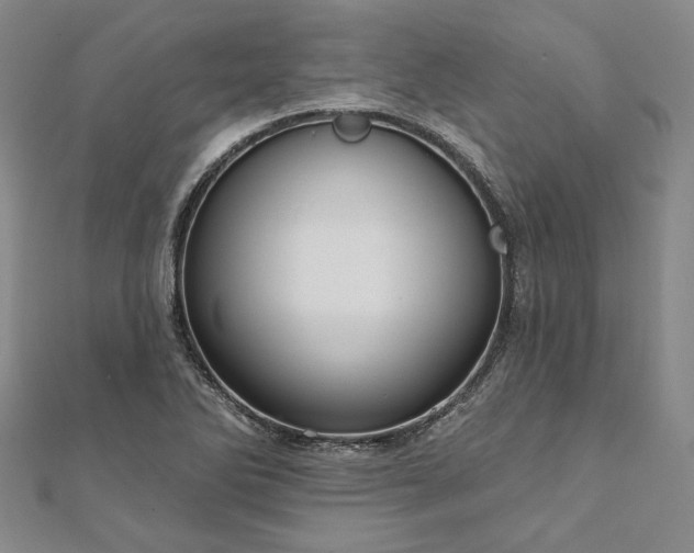 X0000111911270200908031130