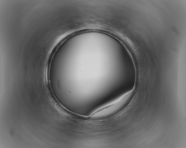 X0000111911272200908031130