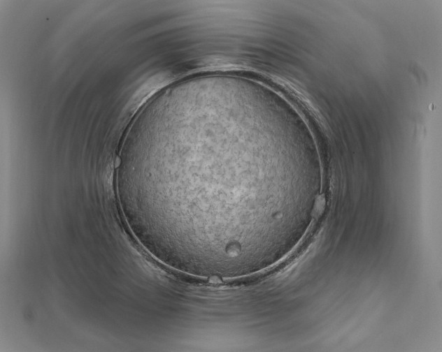 X0000111911273200908031130
