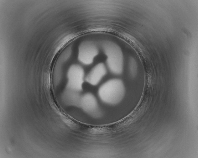 X0000111911274200908031130