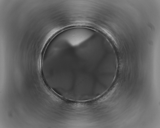 X0000111911275200908031130