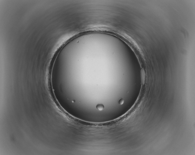 X0000111911277200908031130