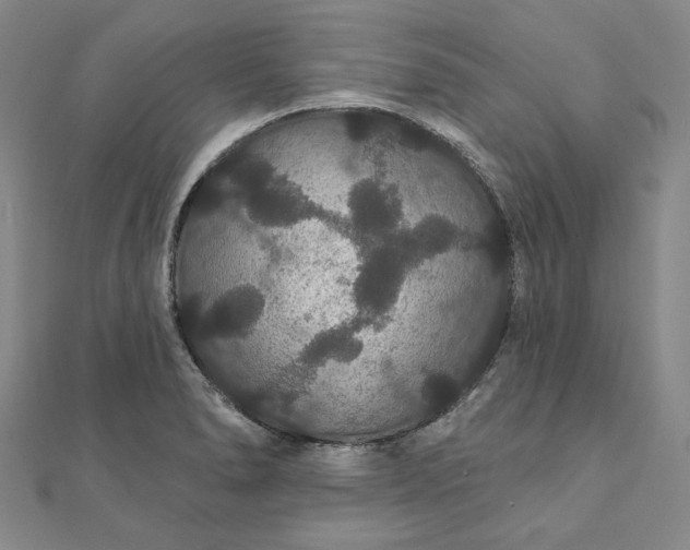 X0000111911278200908031130