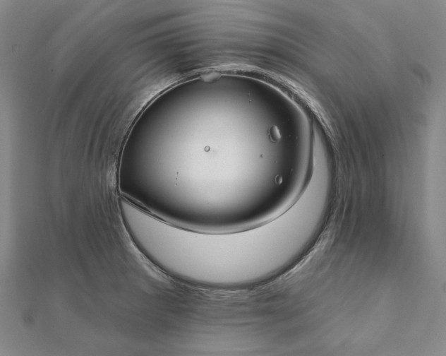 X0000111911281200908031130