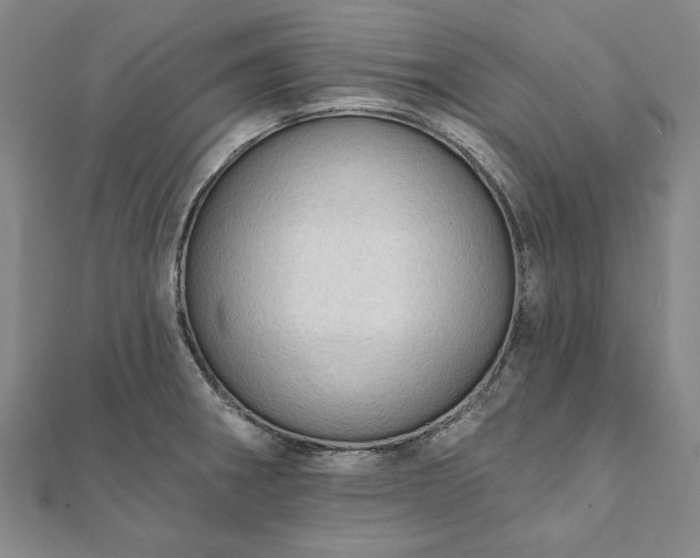 X0000111911282200908031130