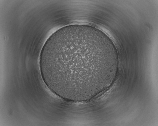 X0000111911283200908031130