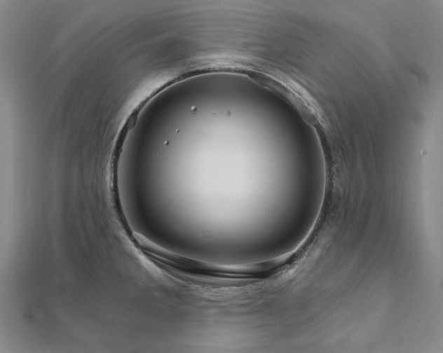 X0000111911285200908031130