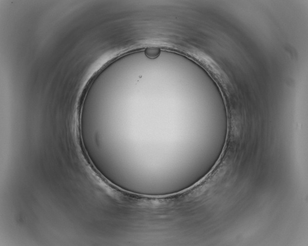X0000111911286200908031130