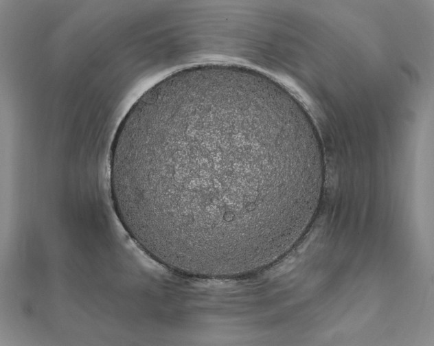 X0000111911287200908031130