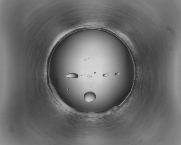 X0000111911288200908031130