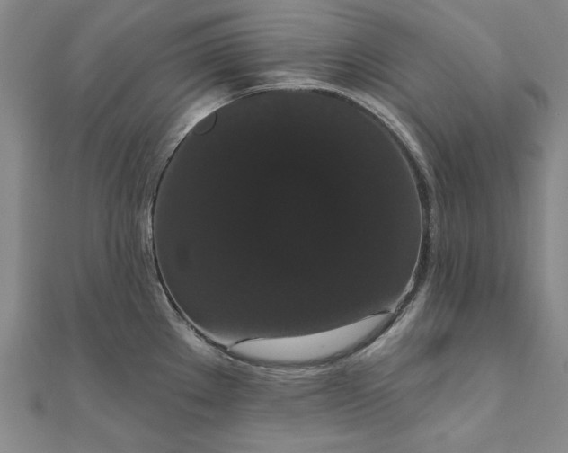 X0000111911289200908031130