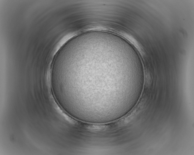 X0000111911290200908031130