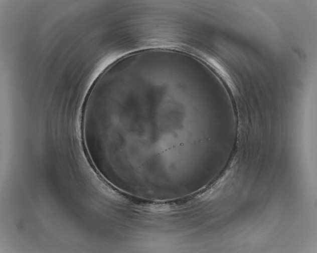 X0000111911291200908031130