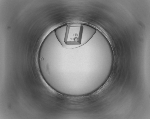 X0000111911293200908031130