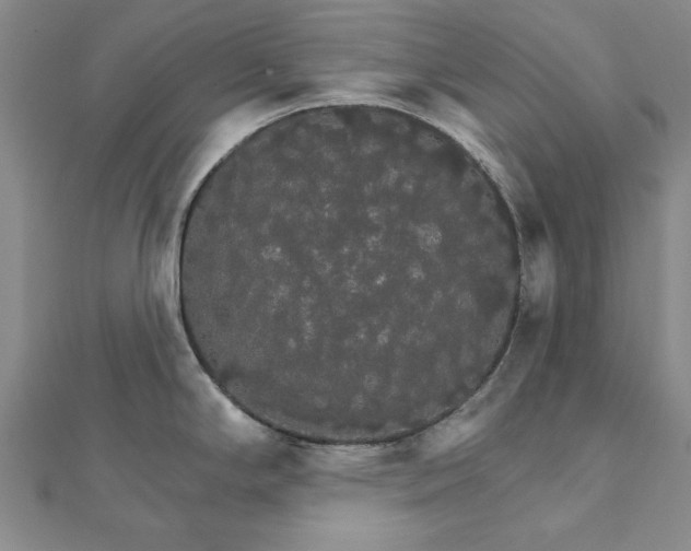 X0000111911294200908031130