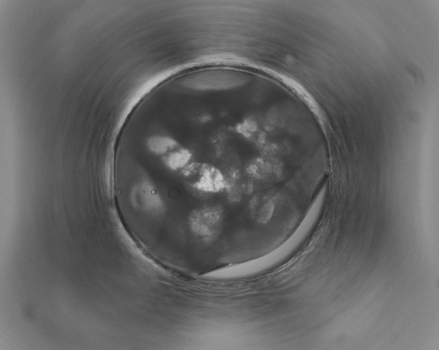 X0000111911295200908031130