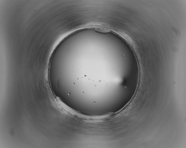X0000111911296200908031130