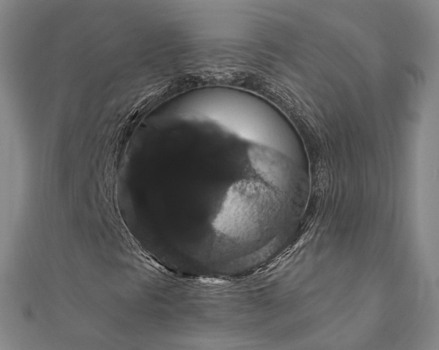 X0000111911297200908031129