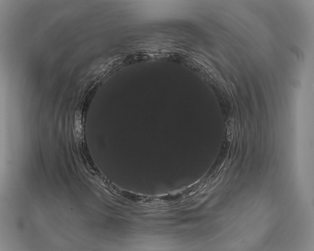 X0000111911298200908031129