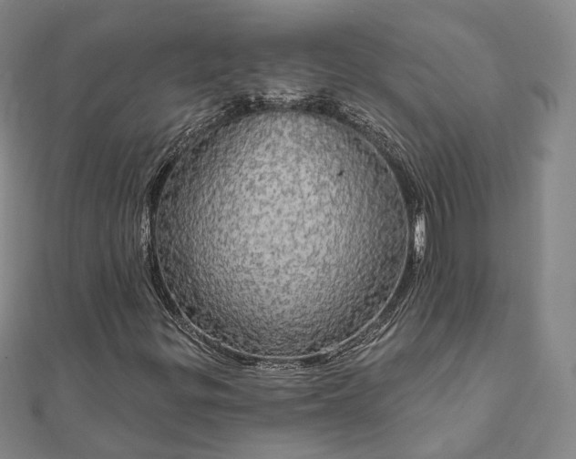 X0000111911299200908031129