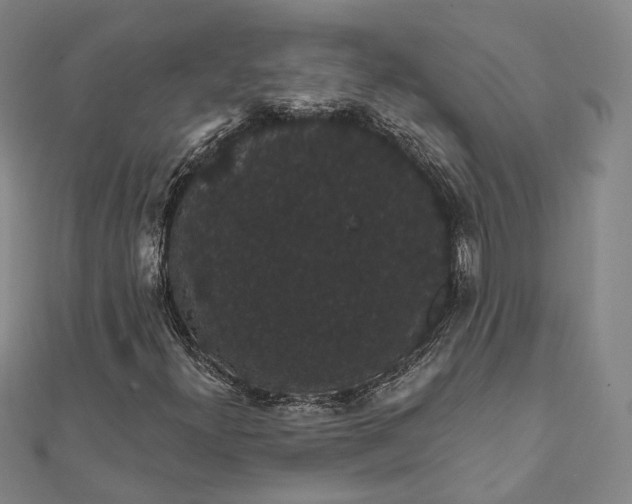 X0000111911300200908031129