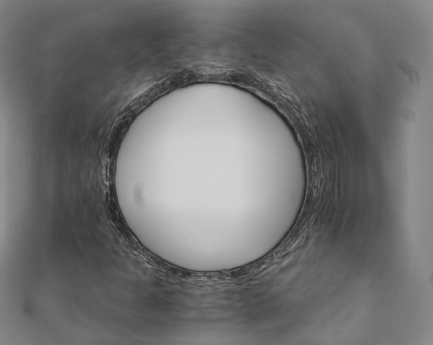 X0000111911301200908031129