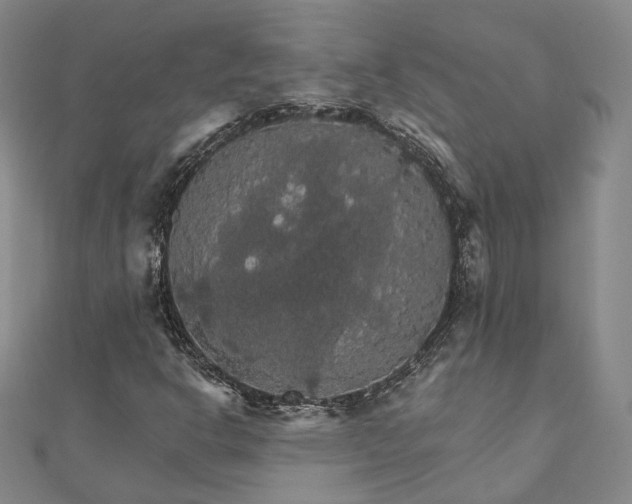 X0000111911302200908031129