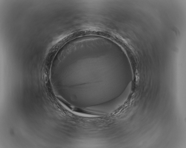 X0000111911303200908031129
