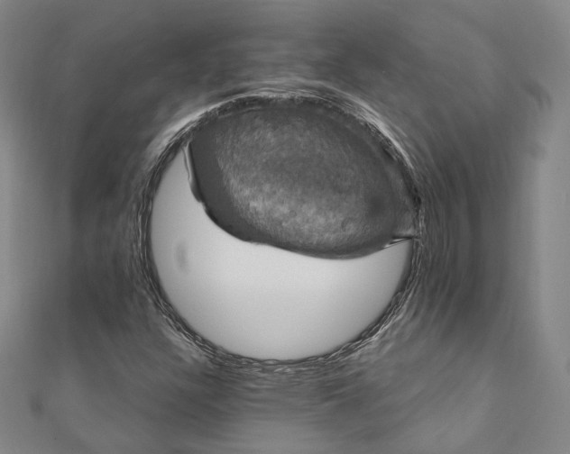 X0000111911304200908031129