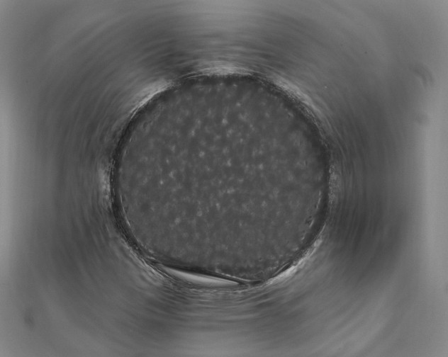 X0000111911305200908031129
