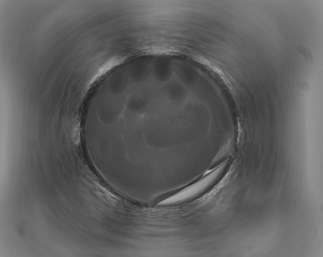 X0000111911306200908031129