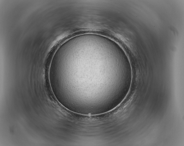 X0000111911307200908031129