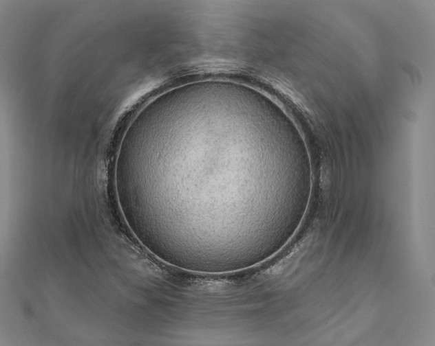 X0000111911309200908031130