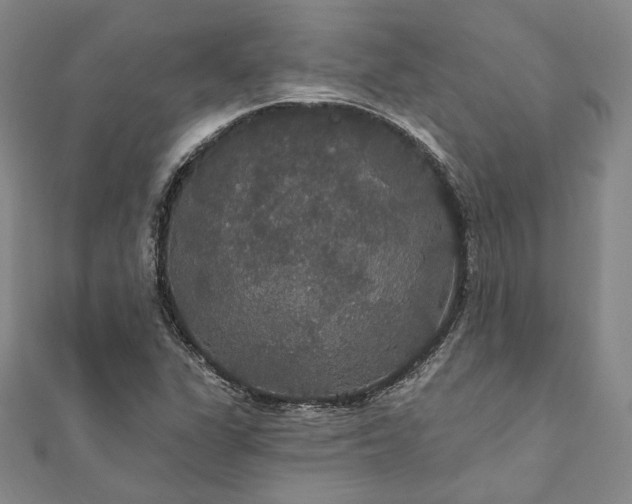 X0000111911311200908031130