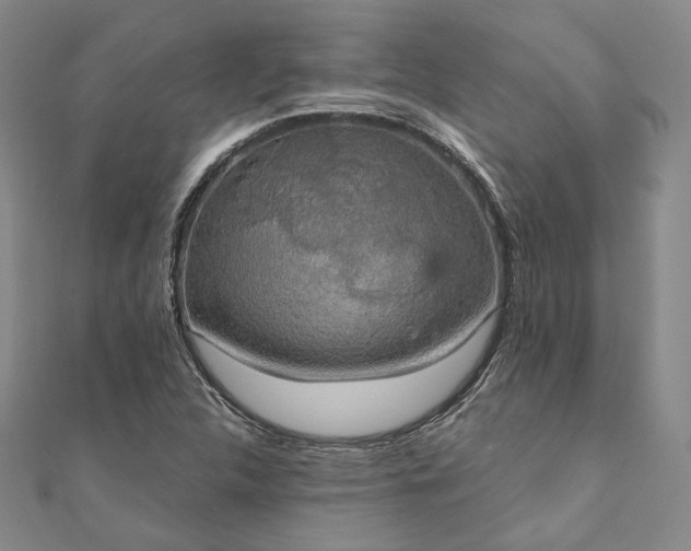X0000111911312200908031130