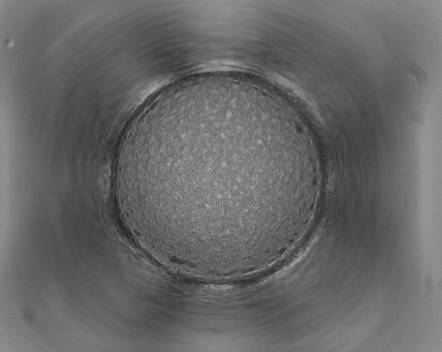 X0000111911313200908031130