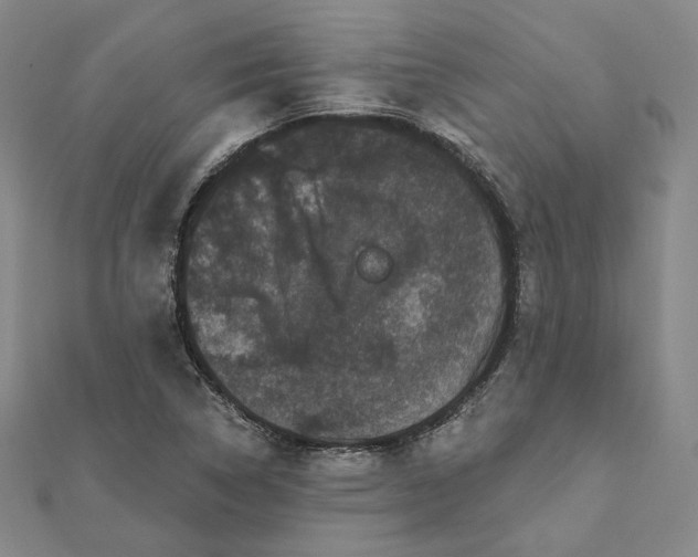 X0000111911314200908031130