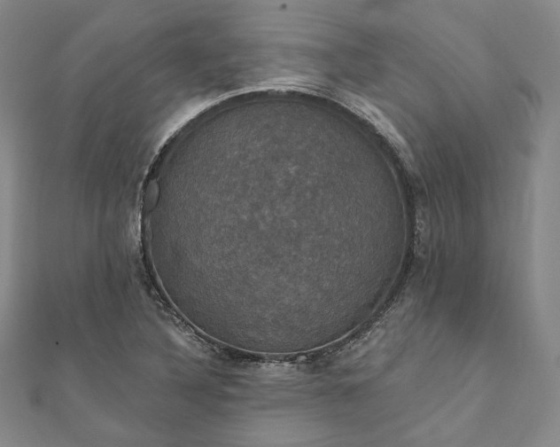 X0000111911316200908031130
