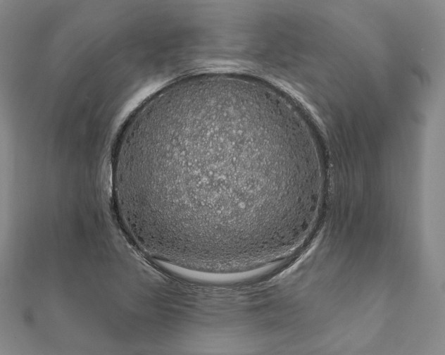 X0000111911317200908031130