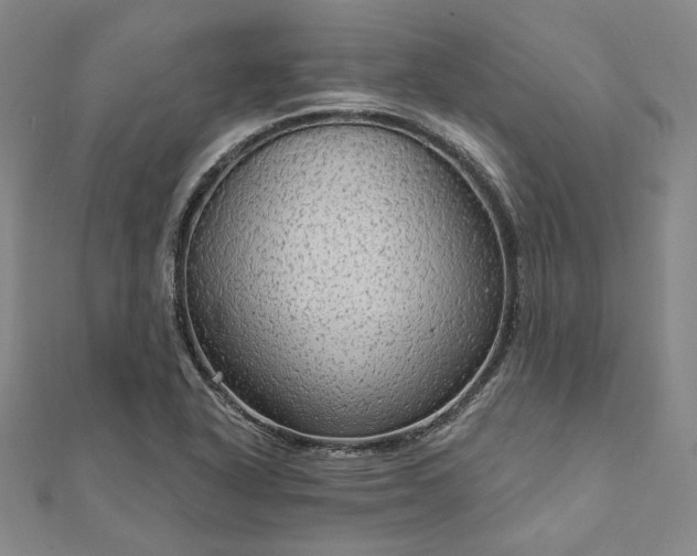 X0000111911318200908031130