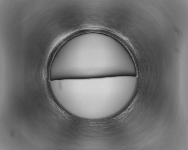 X0000111911319200908031130