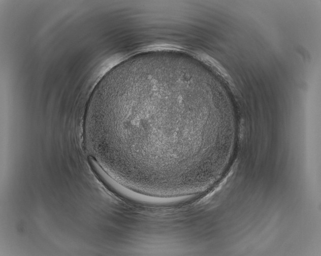 X0000111911321200908031130