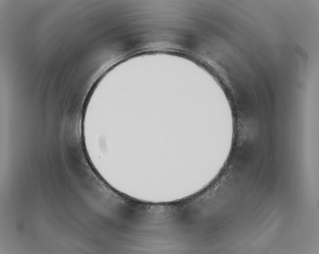 X0000111911322200908031130