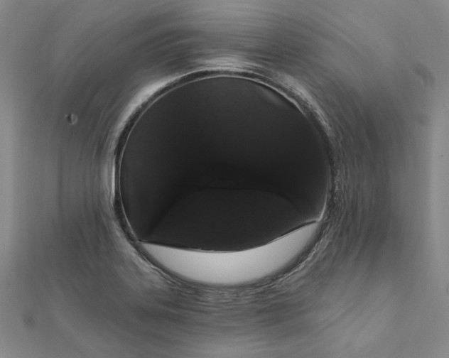 X0000111911323200908031130