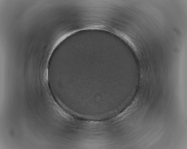 X0000111911324200908031130