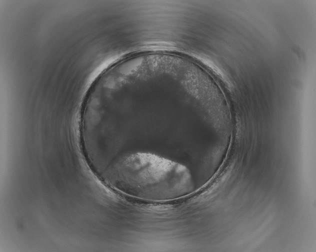 X0000111911325200908031130