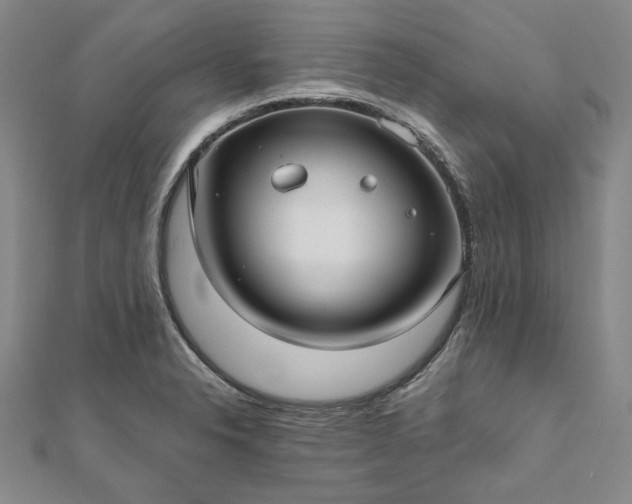 X0000111911326200908031130