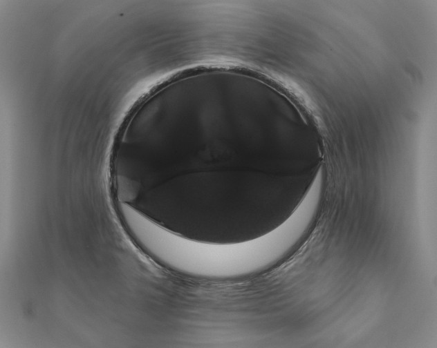 X0000111911327200908031130