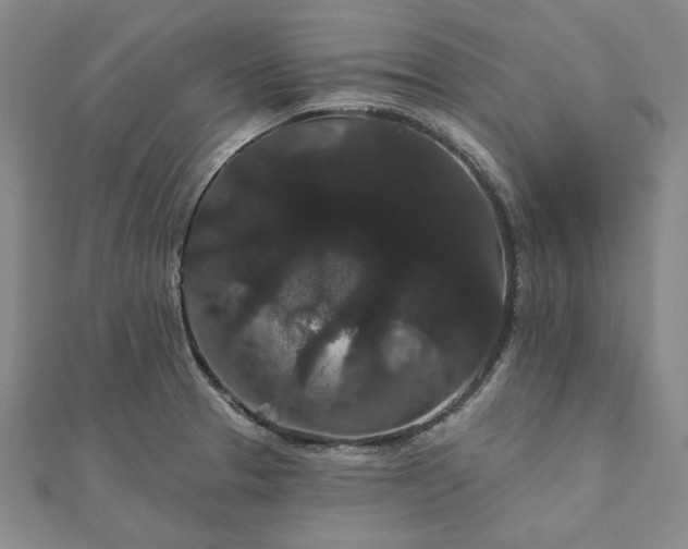 X0000111911329200908031130